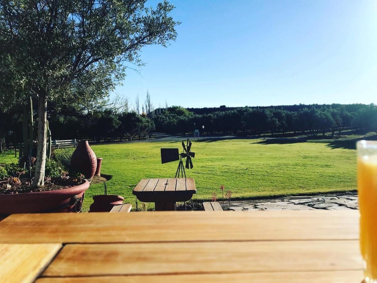 ボーフォート・ウェスト Olive Grove Guest Farmヴィラ エクステリア 写真