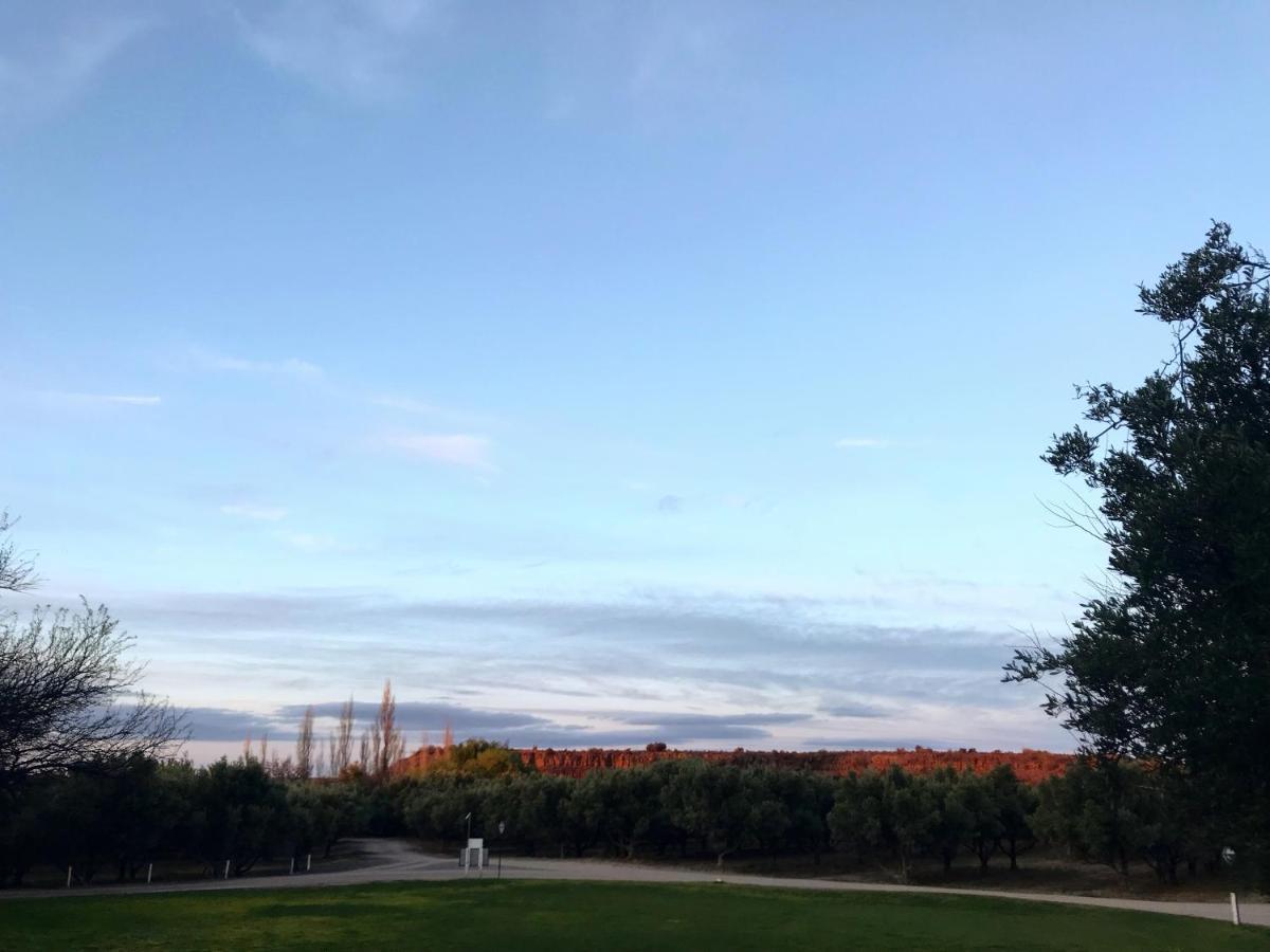 ボーフォート・ウェスト Olive Grove Guest Farmヴィラ エクステリア 写真