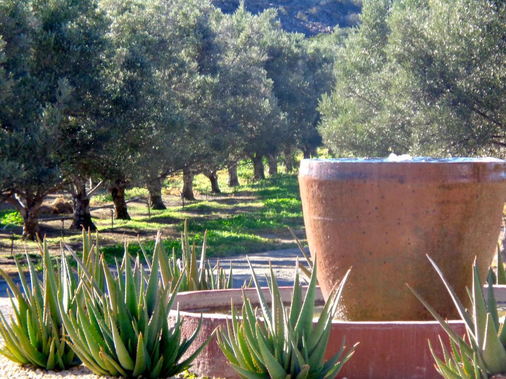 ボーフォート・ウェスト Olive Grove Guest Farmヴィラ エクステリア 写真